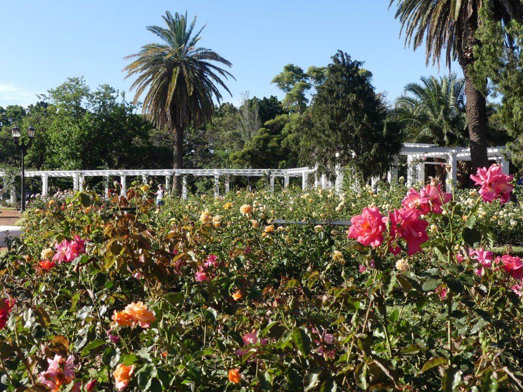 Discovering Palermo, Buenos Aires: A Melting Pot of Cultures and&nbsp;Colors