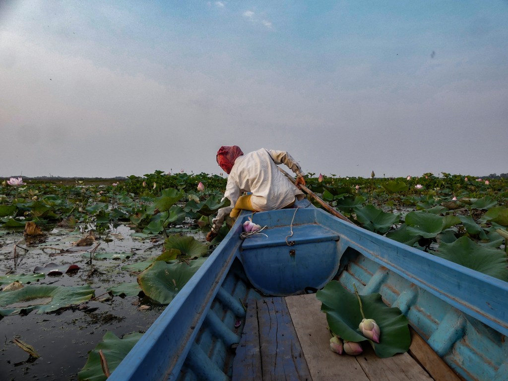 15-Day Itinerary Through&nbsp;Cambodia