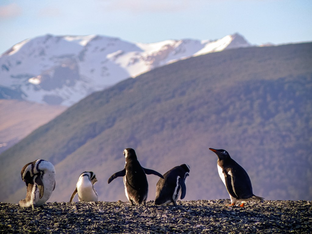 Ushuaïa Must-See: Discover the World’s Southernmost&nbsp;City!